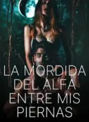 images (14)