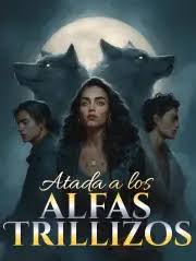 images (21)
